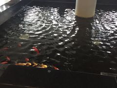 -天津波士信达奔驰4S店(卫津南路店)