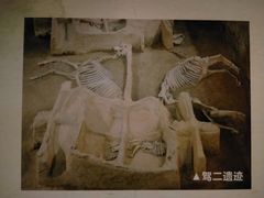 -洛阳周王城天子驾六博物馆