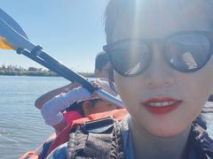 -春花秋色城市公园