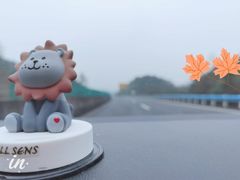 -明月山天沐温泉度假村