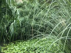 -贵阳市花溪国家城市湿地公园