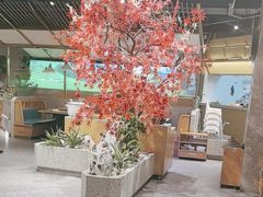 -滇色蒸汽石锅鱼(京华城店)