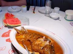 -阿五黄河大鲤鱼(建业路店)