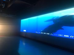 -贝壳王国博物馆