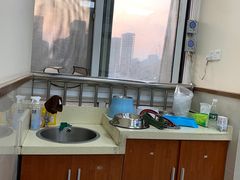 -艾贝尔宠物医院·24H转诊中心·肿瘤猫专科(江宁双龙店)