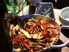 -毛辣果·酸(OHA复兴西路店)