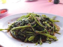 -旗鱼海番村(Orang Asli)