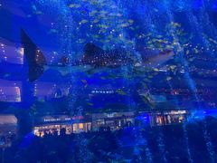 -成都浩海立方海洋公园