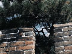 -慕田峪长城