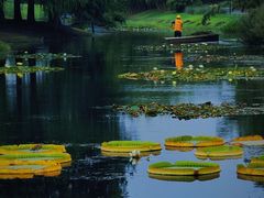-上海辰山植物园