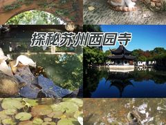 -西园戒幢律寺