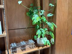-LOTTA COFFEE(安居博文苑店)