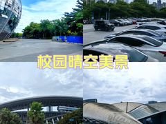 -广西体育中心-游泳馆