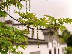 -广富林郊野公园