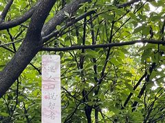 -西安大兴善寺
