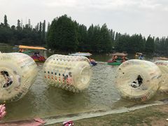 -秀丽东方