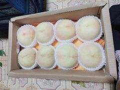 -老袁家蜜桃农场·阳山水蜜桃