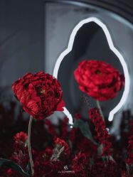 -红丝高端婚礼中心(旗舰店)