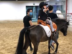 -李振强马术运动推广中心(南城店)