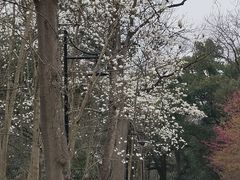 -杭州植物园