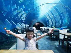 -海棠湾洲际-涛·海底餐厅·美人鱼·自助餐·海底隧道