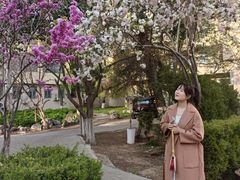 -山东师范大学(千佛山校区)