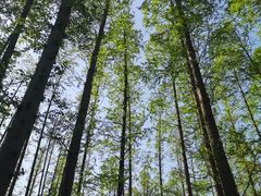 -南京金牛湖风景区