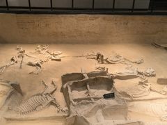 -洛阳周王城天子驾六博物馆