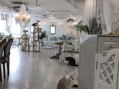 大堂-共舞时光猫咖·狗咖(新街口店)