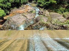 -广州白江湖森林公园