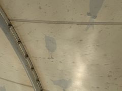 -海驴岛(荣成市)