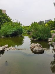 -大望京儿童游乐场