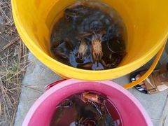 -仰口沙滩