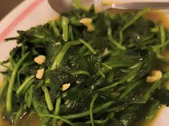-中国城银都鱼翅酒楼