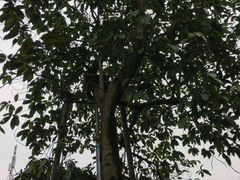 -重庆抗战遗址博物馆