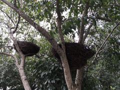 -旅马餐厅(茅家埠店)