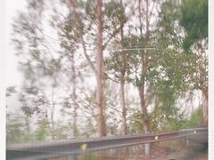 -锄山村