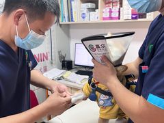 -乐琪宠物医院·犬猫专科·骨外科·急重症