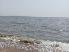 -仙人岛