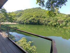 -龙道沟景区