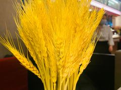 -阿妮叶李(光谷世界城店)