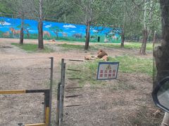 -秦皇岛野生动物园