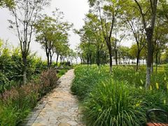 -天津东丽湖风景区