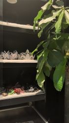 -鼎极摄影(世纪金源店)