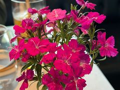-夏朵花园(复兴西路店)