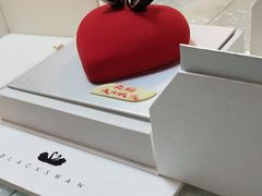 -BLACKSWAN黑天鹅(环球店)