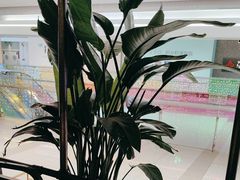 -旺顺阁鱼头泡饼(常营店)