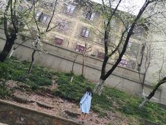 -武汉大学-樱园