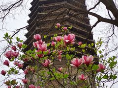 -玲珑塔公园