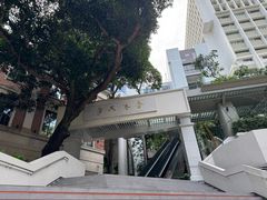 -香港大学